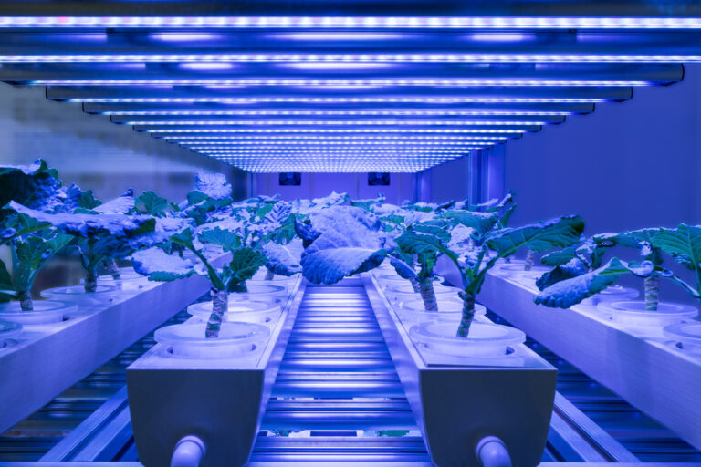 use of IoT in indoor agriculture