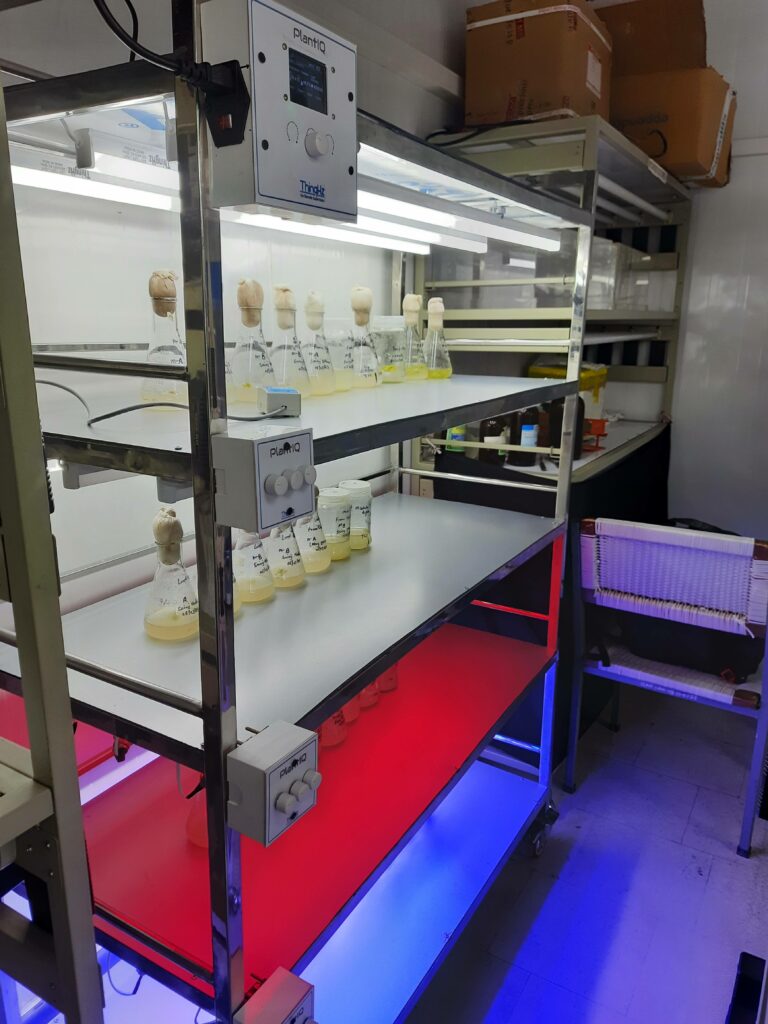 thinghz smart tissue culture rack