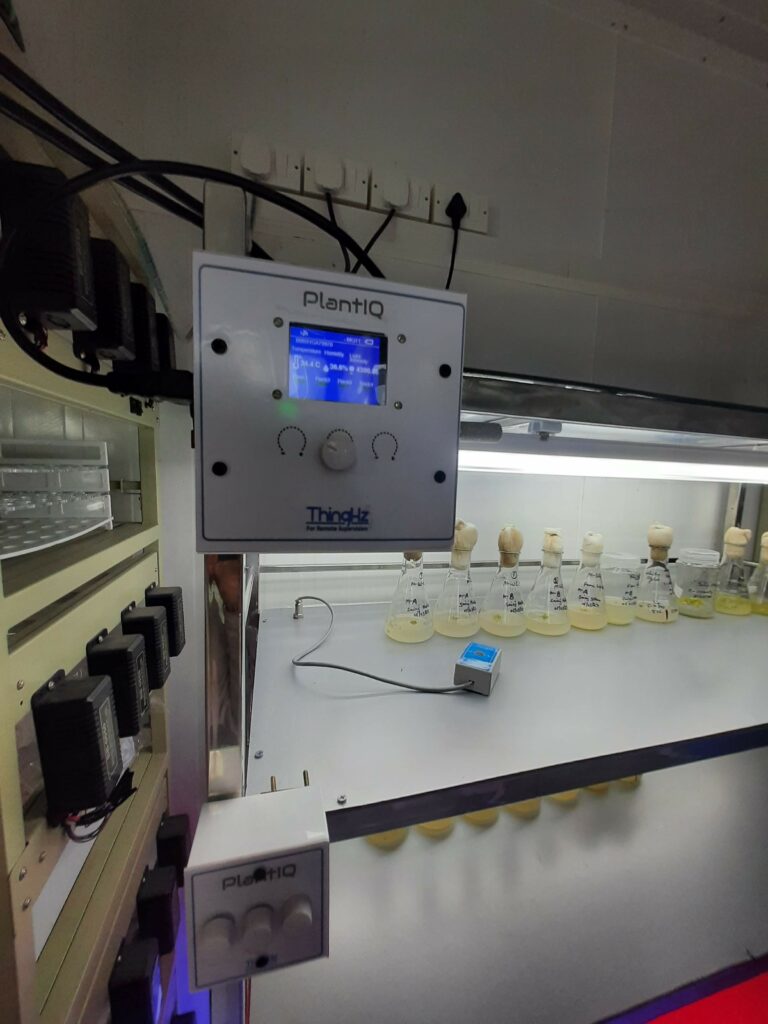 thinghz smart tissue culture rack